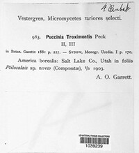 Puccinia troximontis image